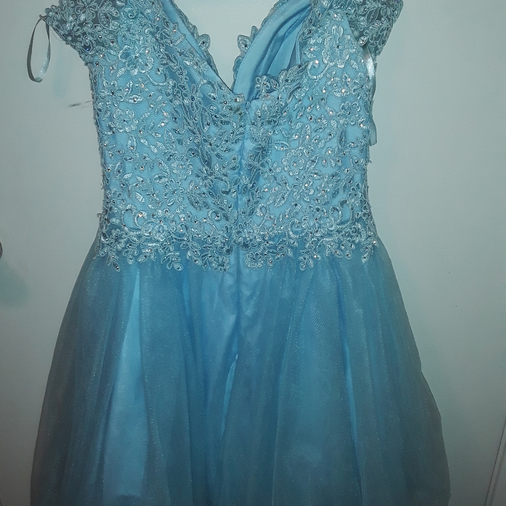 Quinceanera dress or prom dress